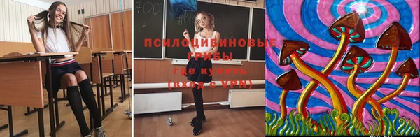 кокс Аркадак